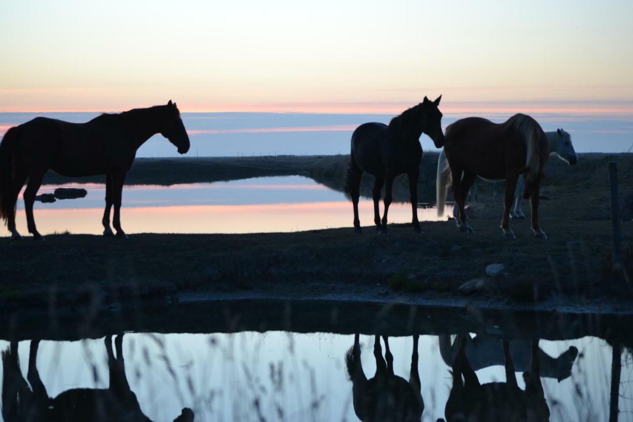 Les Du Joslin Bed & Breakfast Bouin (Vendee)